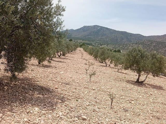 Terreno/Finca Rústica en venta en Salinas, Alicante