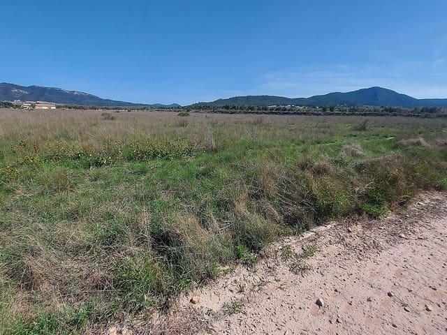 Terreno/Finca Rústica en venta en Salinas, Alicante
