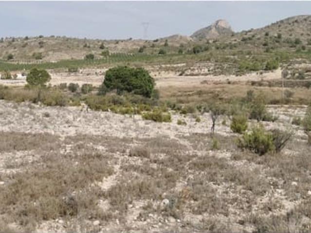 Terreno/Finca Rústica en venta en Salinas, Alicante
