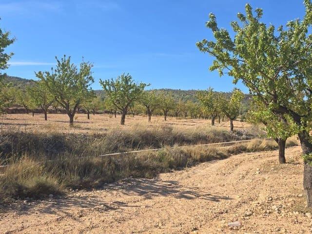 Terreno/Finca Rústica en venta en Salinas, Alicante