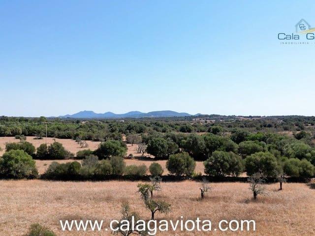 Terreno/Finca Rústica en venta en Ses Salines, Mallorca