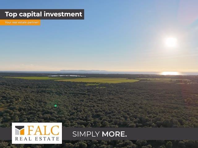 Terreno/Finca Rústica en venta en Ses Salines, Mallorca