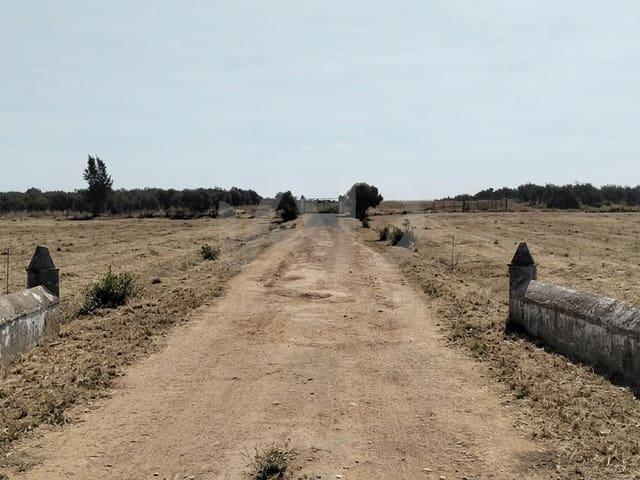 Terreno/Finca Rústica en venta en Sevilla, Sevilla