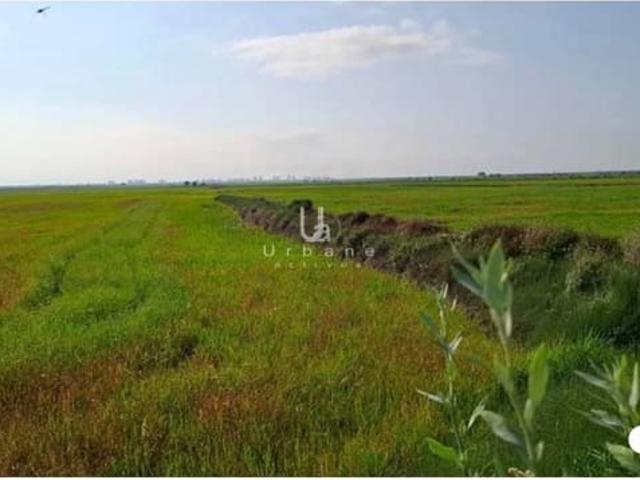 Terreno/Finca Rústica en venta en Silla, Valencia