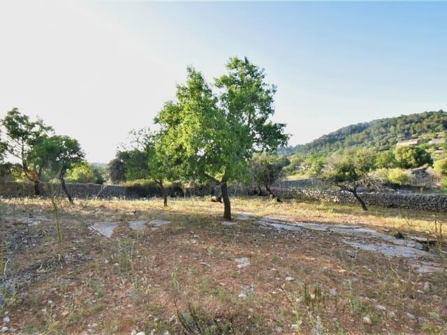 Terreno/Finca Rústica en venta en Son Servera, Mallorca