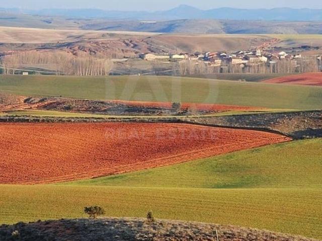 Terreno/Finca Rústica en venta en Soria, Soria