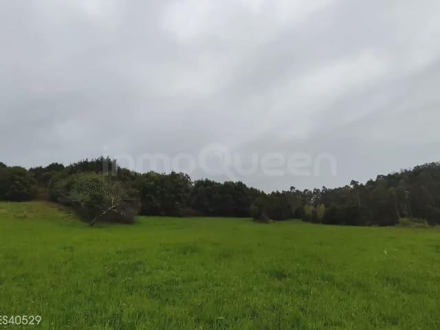 Terreno/Finca Rústica en venta en Soto del Barco, Asturias Costa Verde
