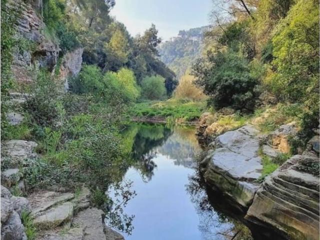 Terreno/Finca Rústica en alquiler en Castellar del Vallès, Barcelona
