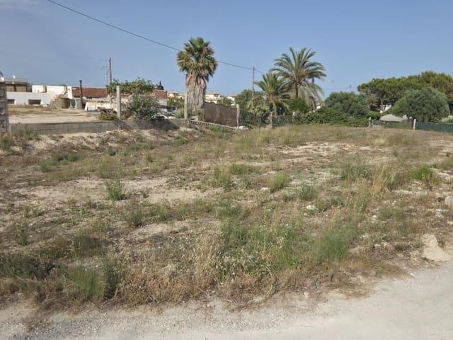 Terreno/Finca Rústica en alquiler en La Marina, Alicante Costa Blanca