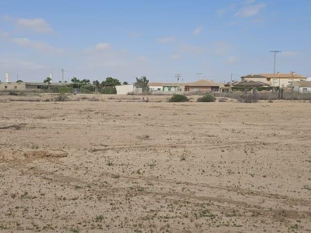 Terreno/Finca Rústica en alquiler en San Pedro del Pinatar, Murcia Costa Cálida
