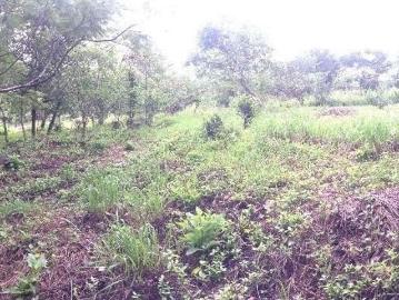 Terreno/Lote 4237 m2 Camino a Tenampa, Col. Soledad, Malinalco Edo. Mex