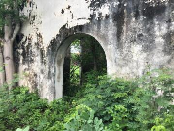 TERRENO/LOTE EN VENTA MERIDA, TEMAX, HACIENDA CHUCMICHEN, DICIEMBRE 2024 Pueblo Temax
