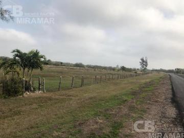 Terrenos 5 en venta en Ejido barra del tordo, Aldama, Tams