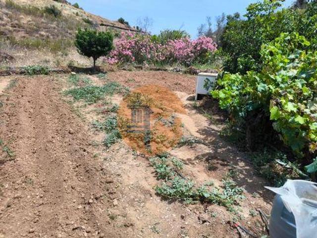 Terrenos Tavira Faro DLS96330297