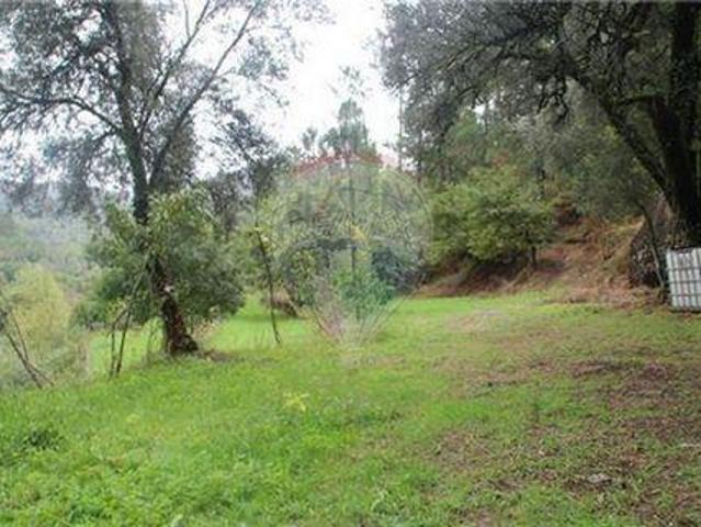 Terrenos Terras De Bouro Braga DS100020456