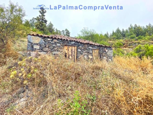 Terrenos Tijarafe Santa Cruz De Tenerife LS92505164