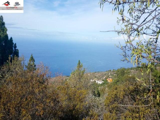 Terrenos Tijarafe Santa Cruz De Tenerife LS96291466