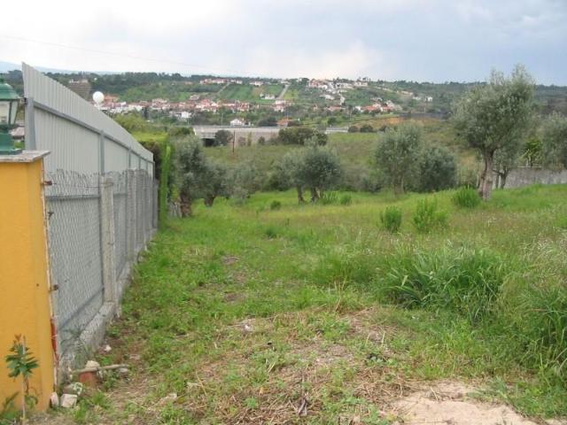 Terrenos Tomar Tomar DLS97118575