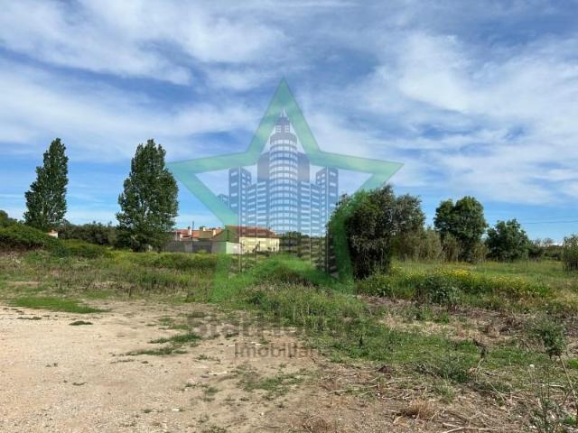 Terrenos Tomar Tomar DLS97123799