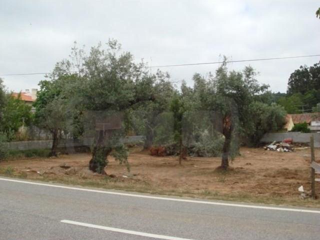 Terrenos Tomar Tomar DLS97885690