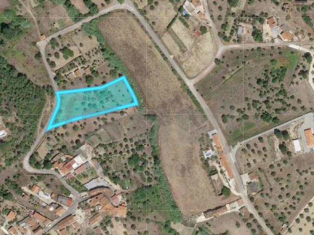 Terrenos Tomar Tomar DLS99103077