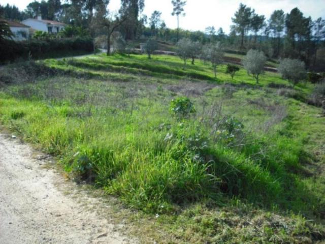 Terrenos Tomar Tomar DLS99112479