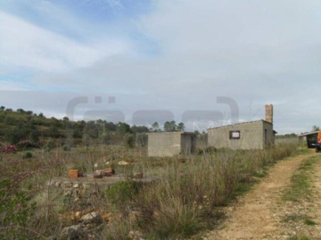 Terrenos Tomar Tomar DLS100127278
