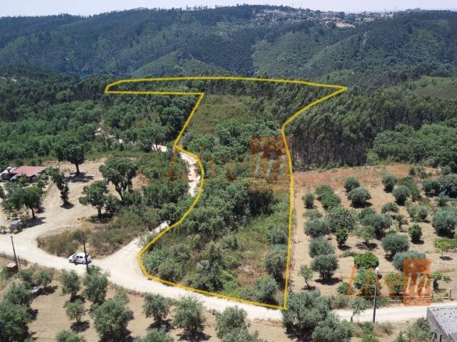 Terrenos Tomar Tomar DLS101202331