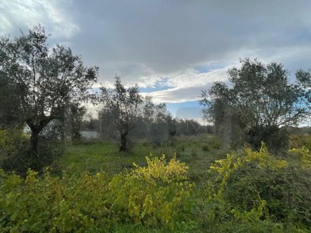 Terrenos Tomar Tomar DLS102811041