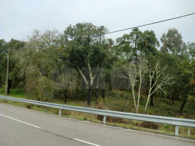Terrenos Tomar Tomar DLS102811044