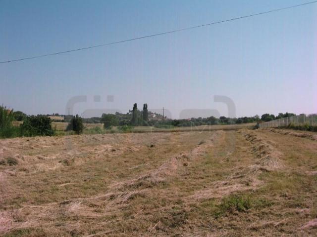Terrenos Tomar Tomar DLS102811045