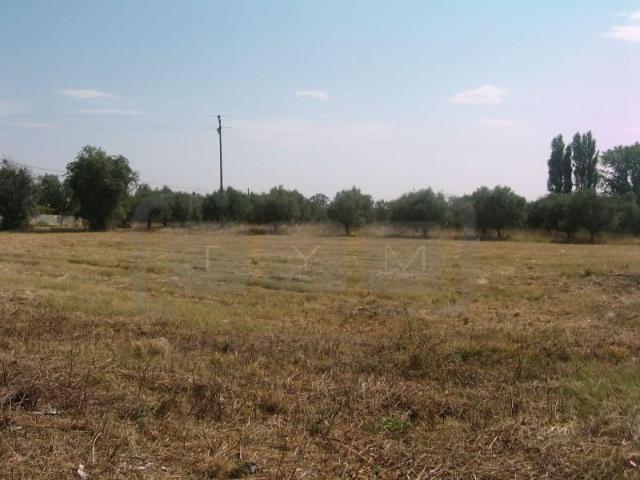 Terrenos Tomar Tomar DS101127197
