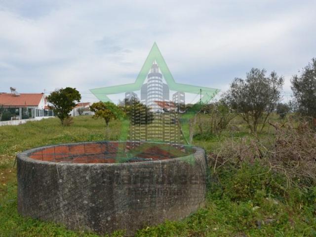 Terrenos Tomar Tomar DS101213923