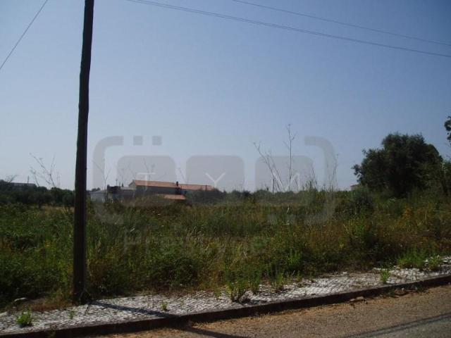 Terrenos Tomar Tomar DS102105146
