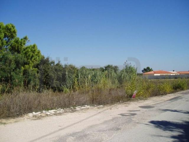 Terrenos Tomar Tomar DS102105151
