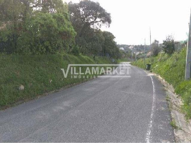 Terrenos Tomar Santarém DLS59305148