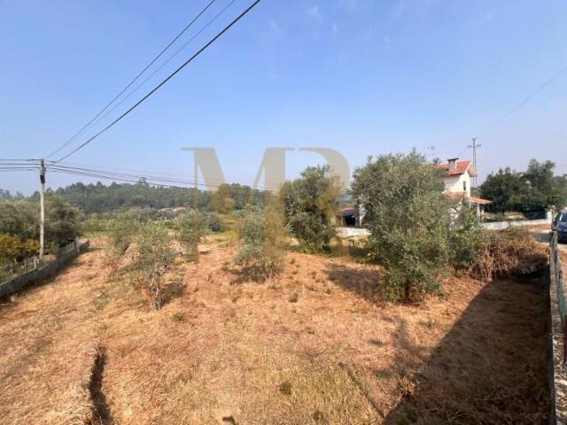 Terrenos Tondela Tondela DLS96199682