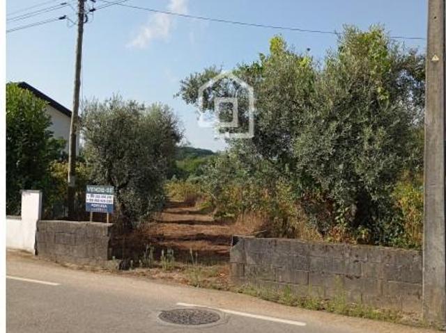 Terrenos Tondela Tondela DLS97119427