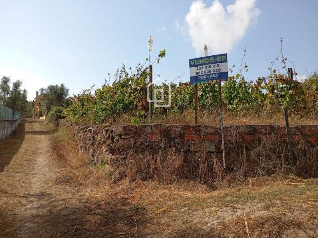 Terrenos Tondela Tondela DLS97171526