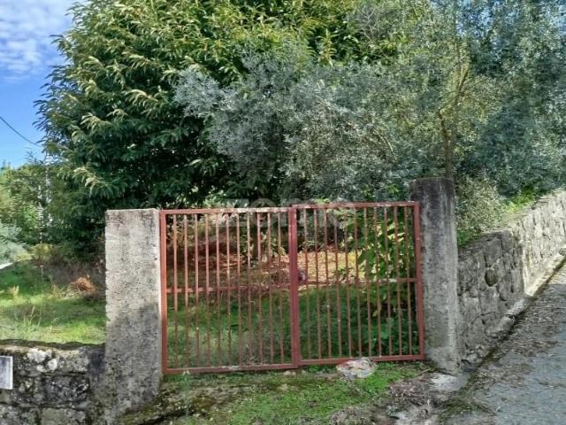 Terrenos Tondela Tondela DLS99808027