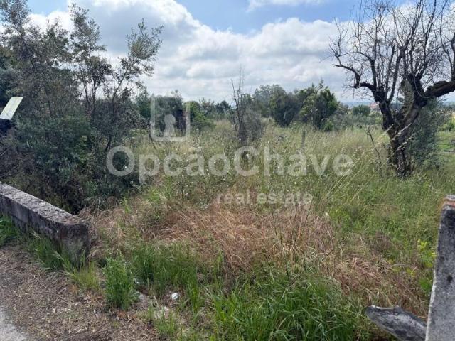 Terrenos Tondela Tondela DS102289911