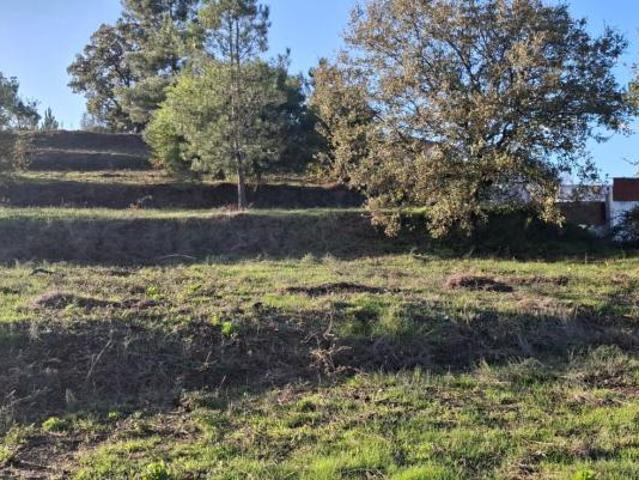 Terrenos Torres Novas Santarém 2330 544 DLS95946014