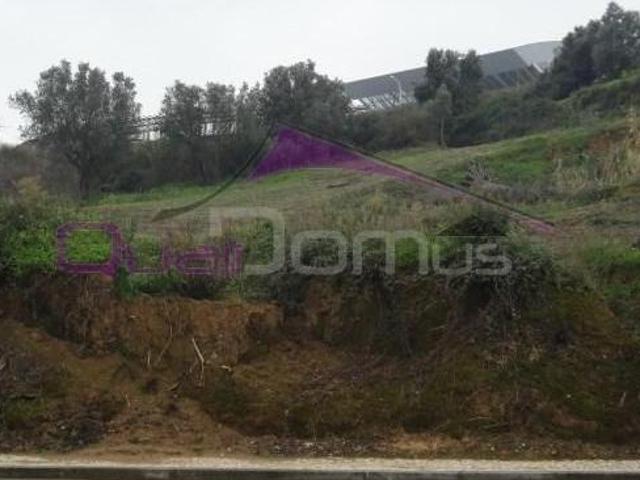 Terrenos Torres Novas Torres Novas DLS101249715