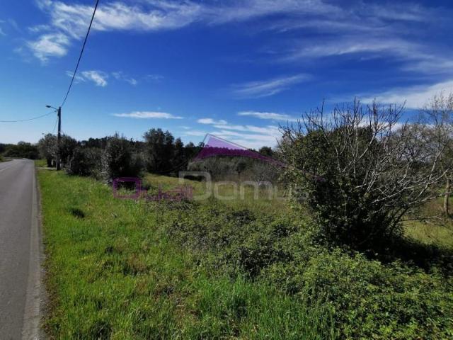 Terrenos Torres Novas Torres Novas DS97124256