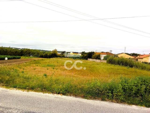Terrenos Torres Vedras Lisboa DLS90121662