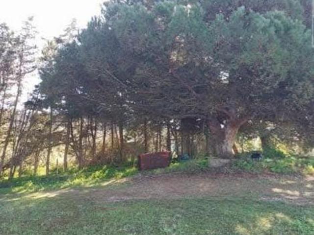 Terrenos Torres Vedras Lisboa DLS93946646