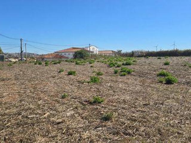Terrenos Torres Vedras Lisboa DLS96042333