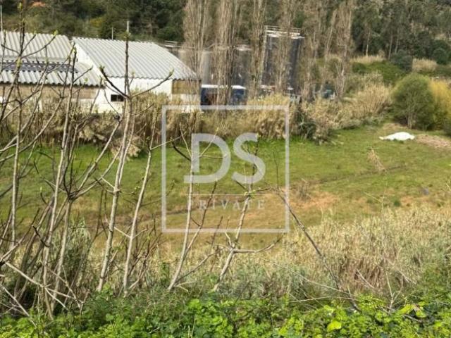 Terrenos Torres Vedras Lisboa DLS100572091