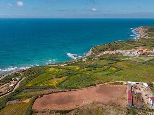 Terrenos Torres Vedras Lisboa DS102253038