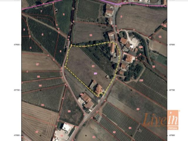 Terrenos Torres Vedras Torres Vedras DLS88542408